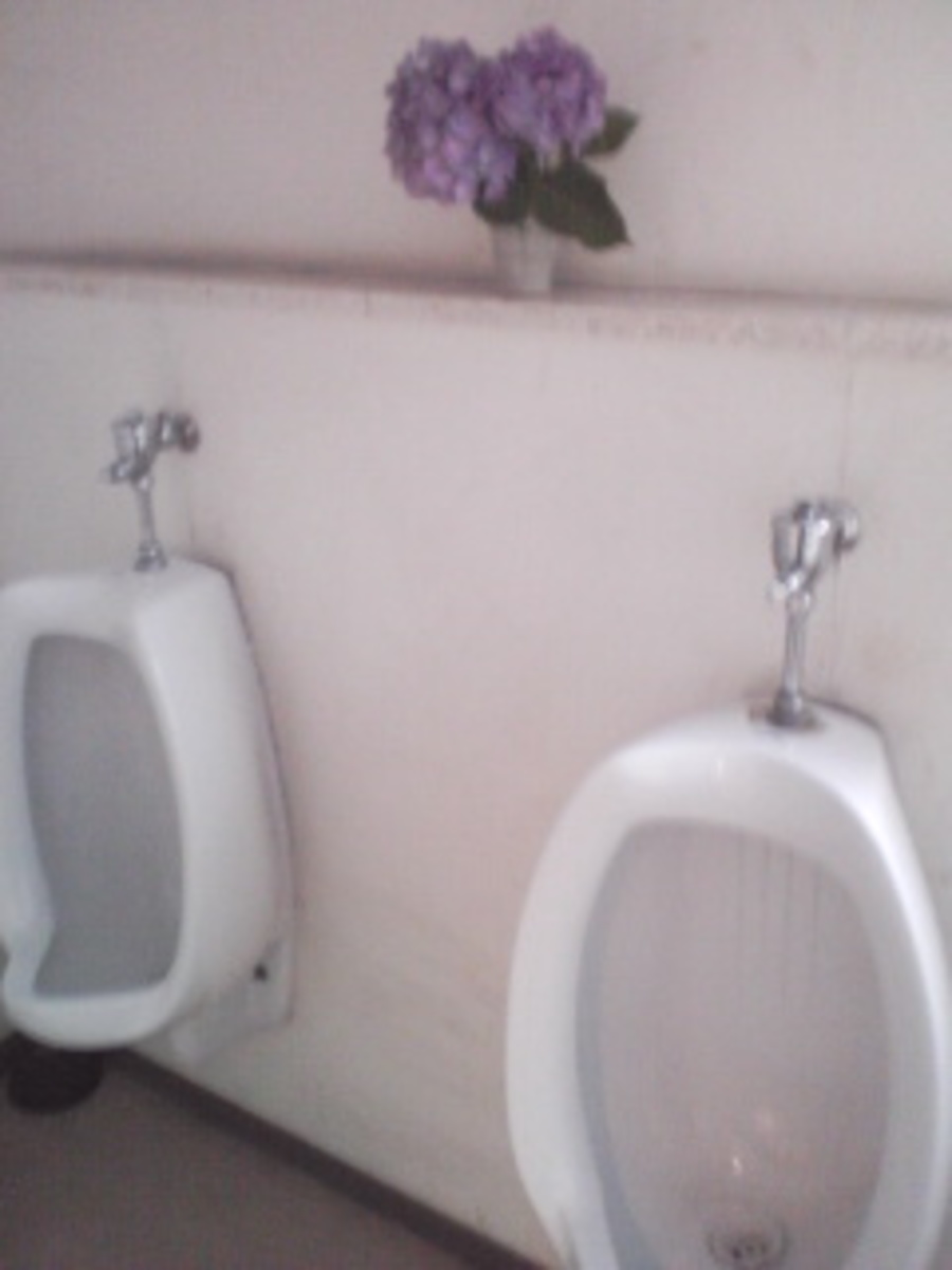 fresh/building/J00100396580_7