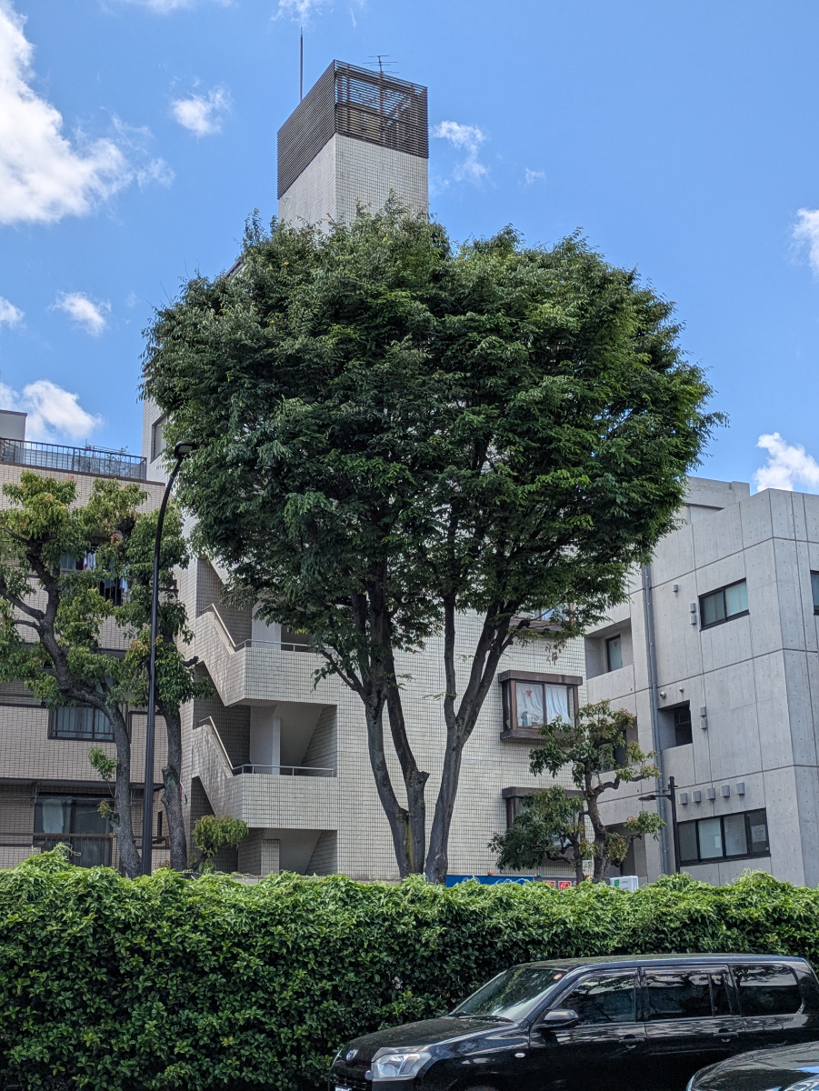 fresh/building/J00100396584_6