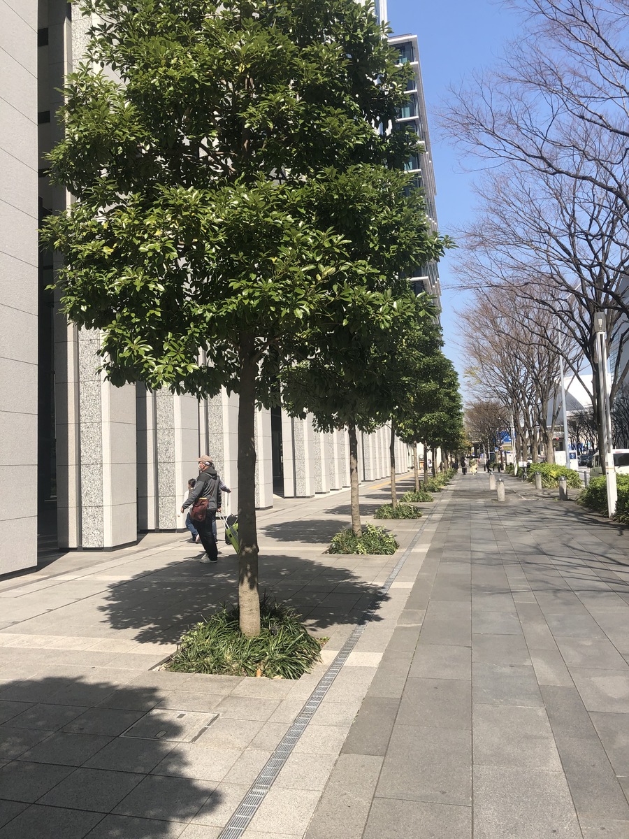 fresh/building/J00100396599_2