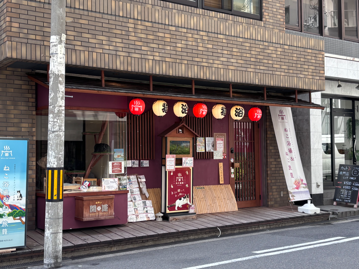 fresh/building/J00100396833_12