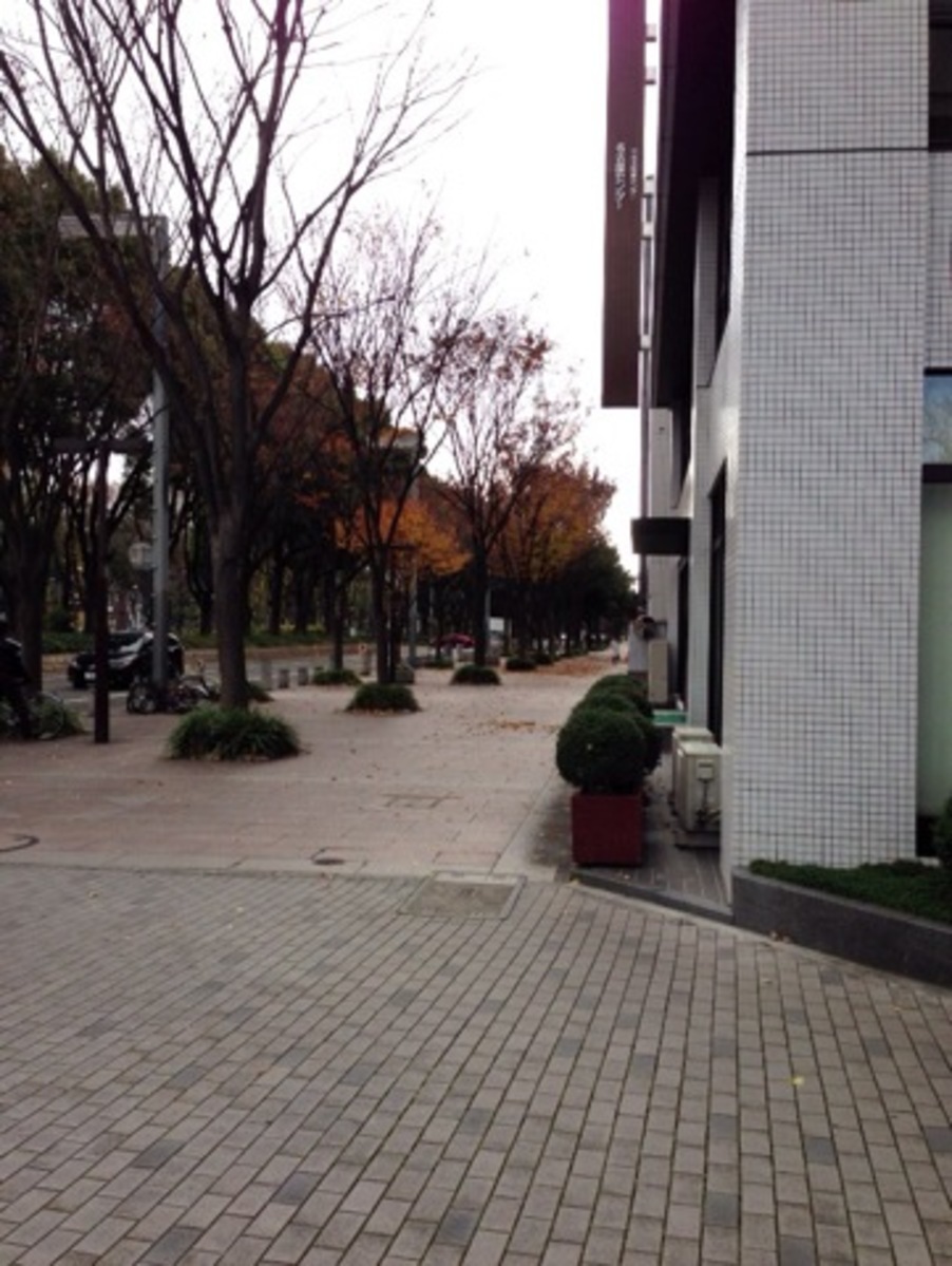 fresh/building/J00100398313_2