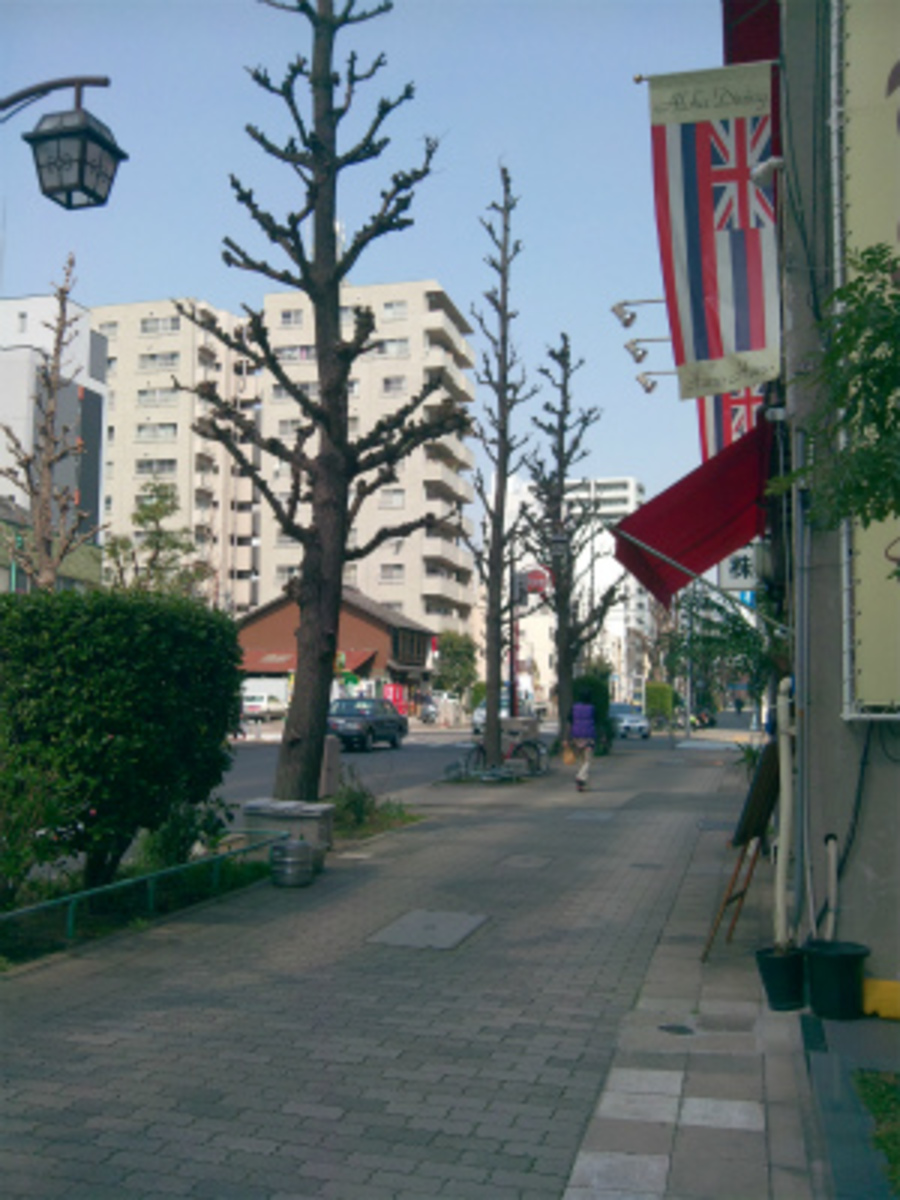 fresh/building/J00100398322_2