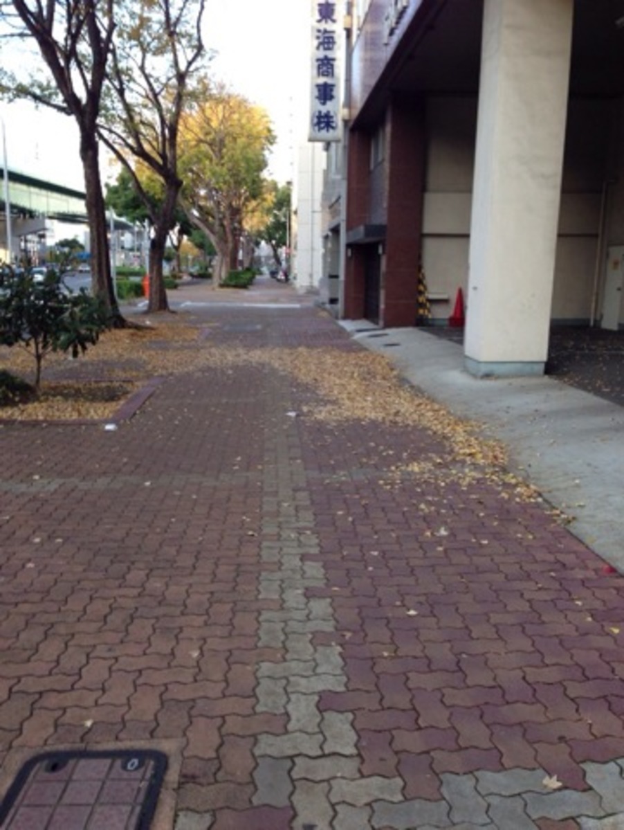 fresh/building/J00100398758_3