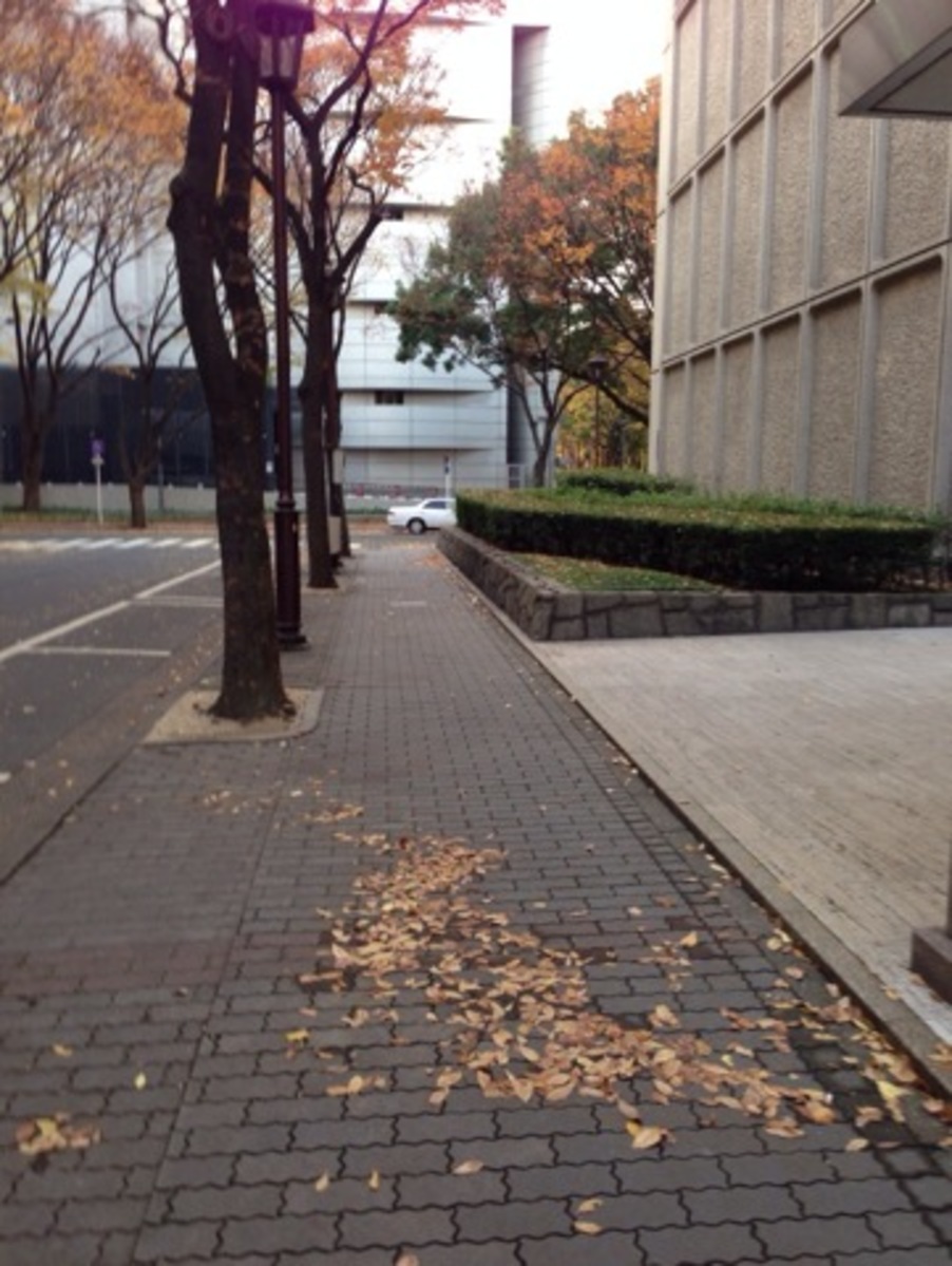fresh/building/J00100399254_3