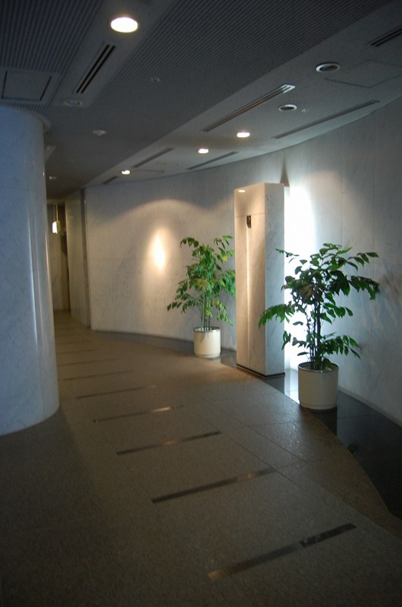 fresh/building/J00100399429_7