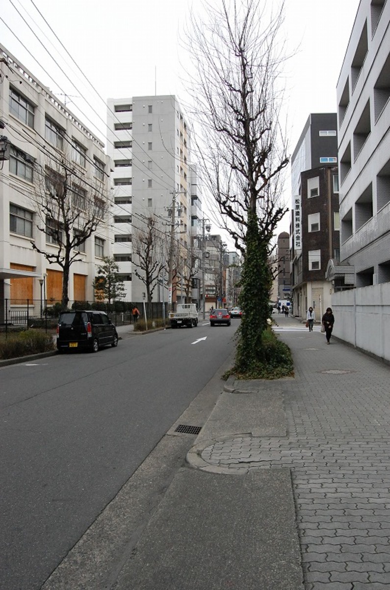 fresh/building/J00100399698_3