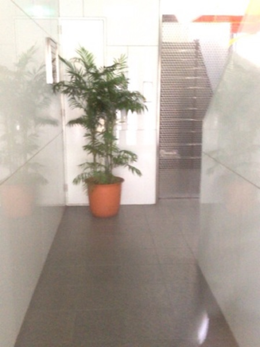 fresh/building/J00100400455_4