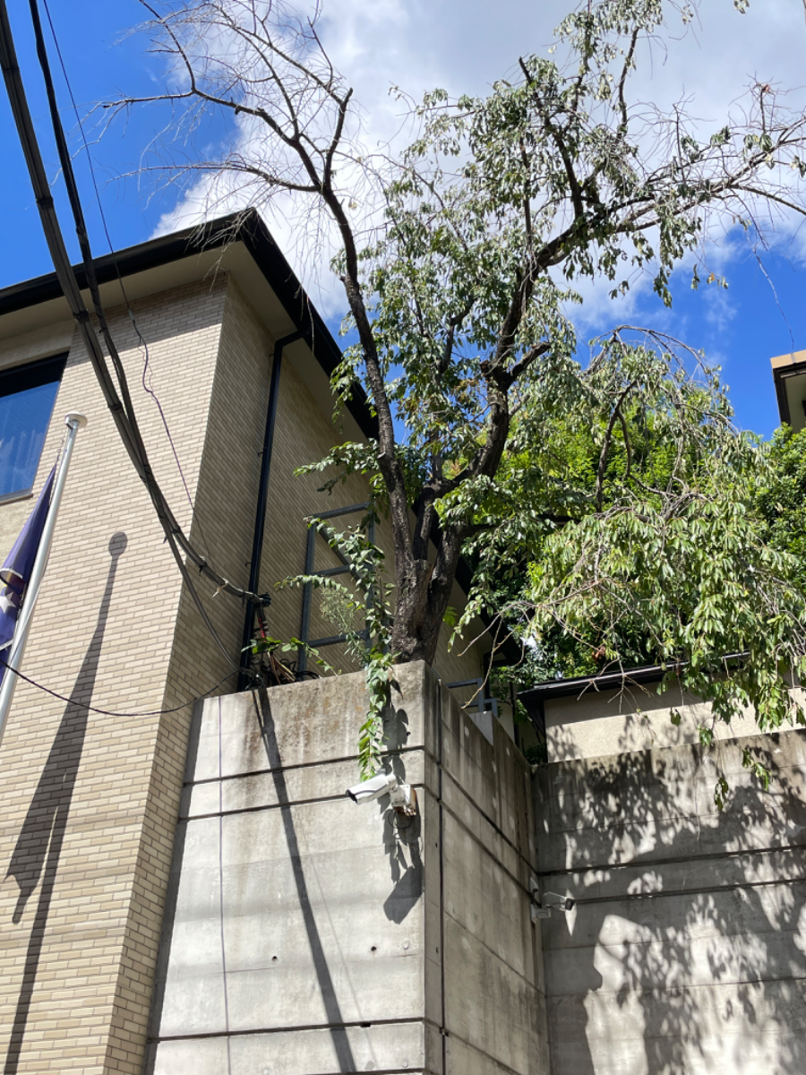 fresh/building/J00100401334_9
