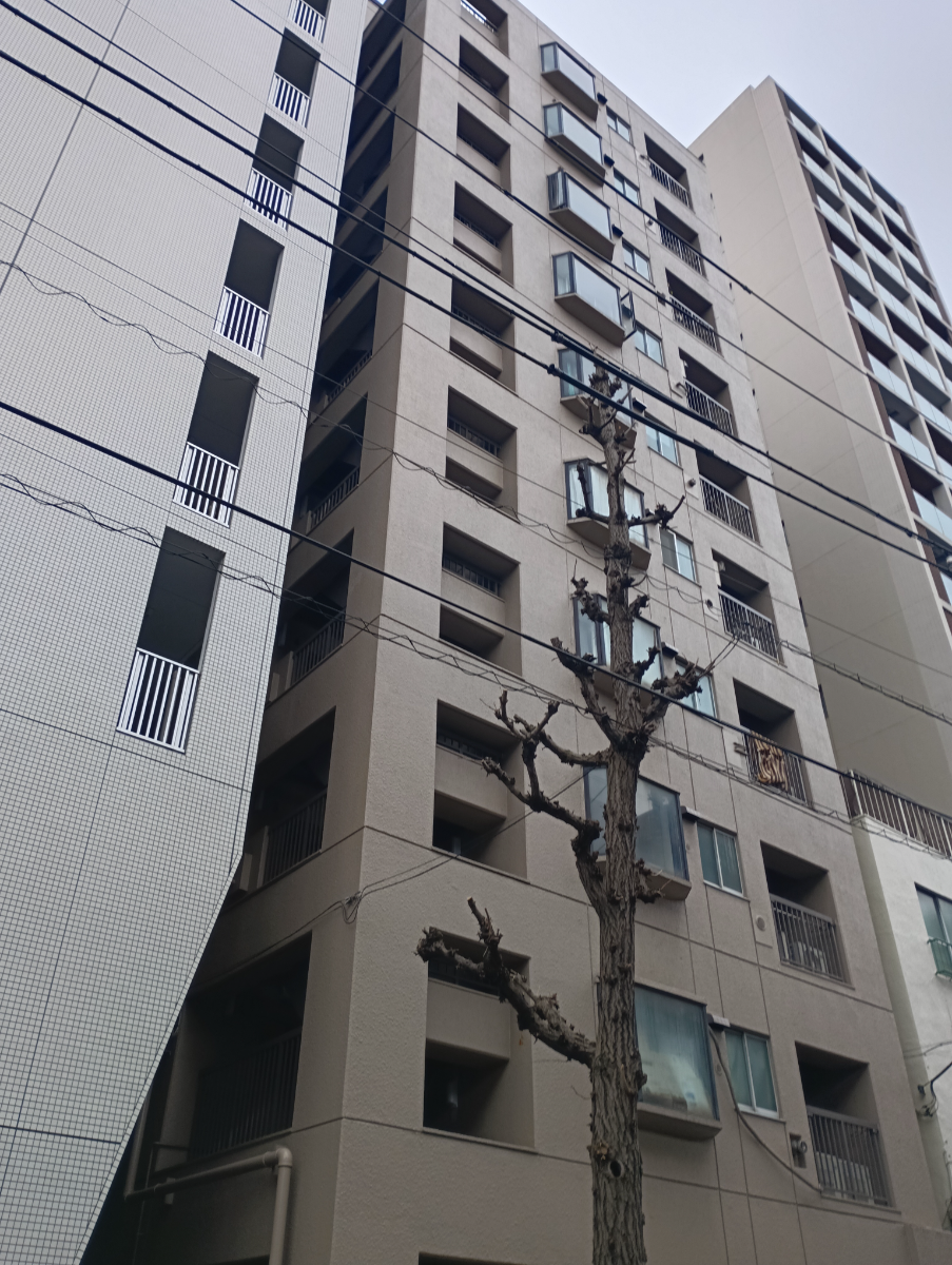 fresh/building/J00100401480_1