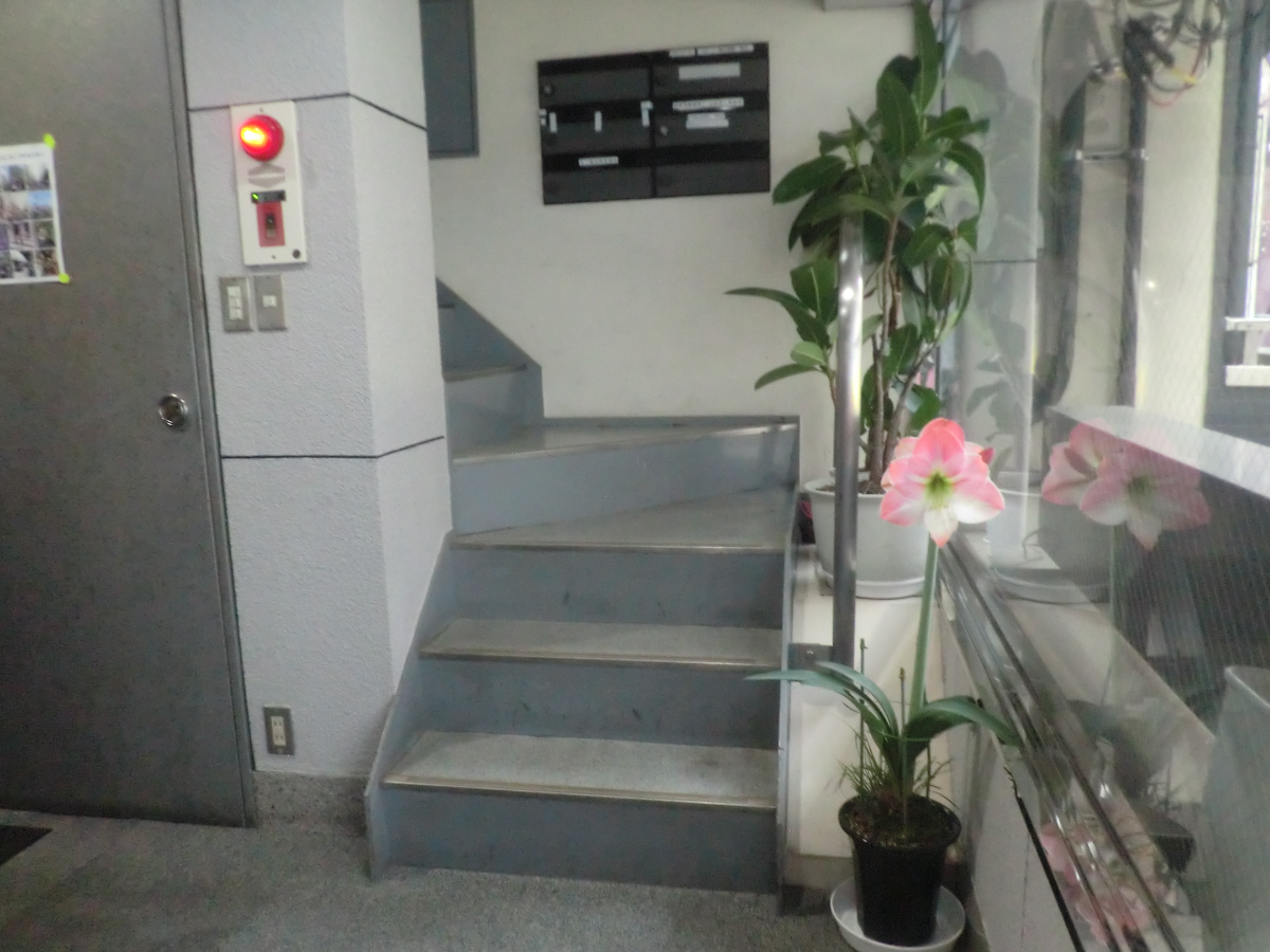 fresh/building/J00100401624_5
