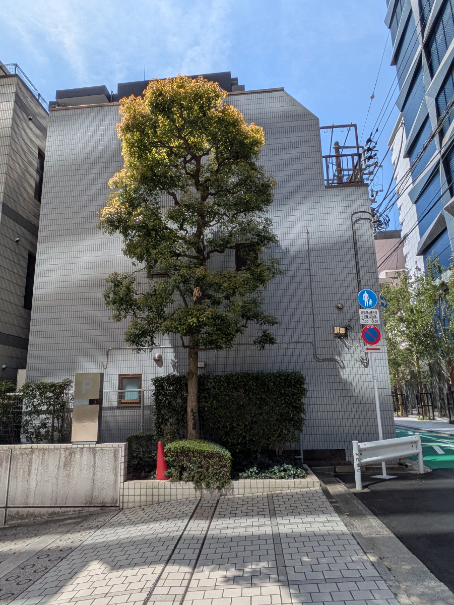 fresh/building/J00100401908_6