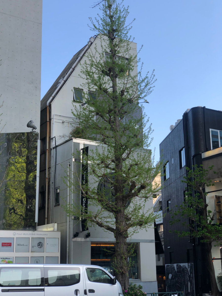 fresh/building/J00100402216_6