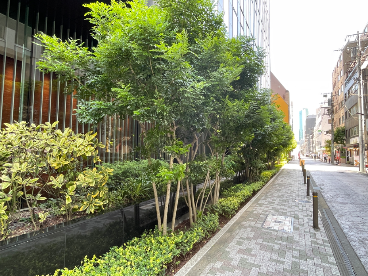 fresh/building/J00100402502_13