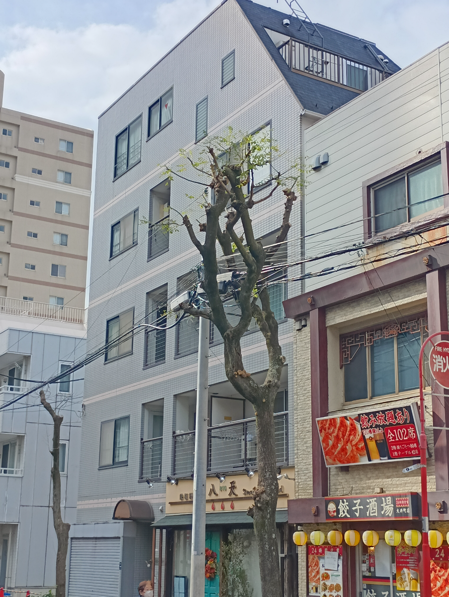 fresh/building/J00100402700_5