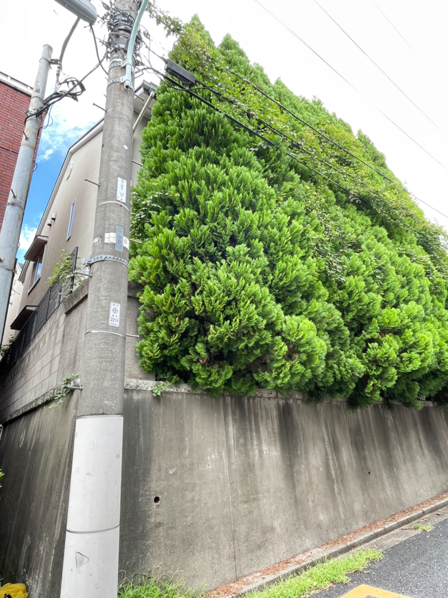 fresh/building/J00100402742_8