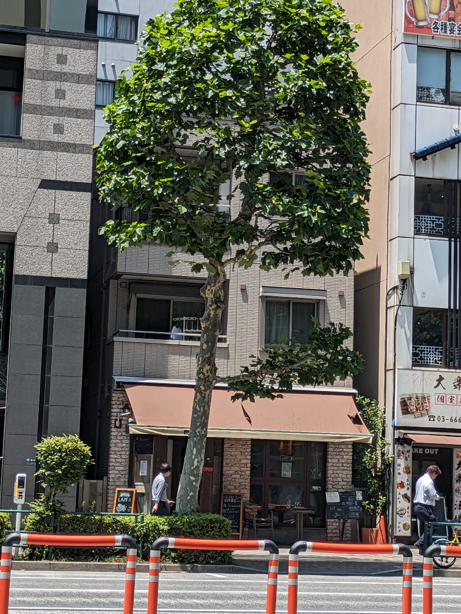 fresh/building/J00100403273_6