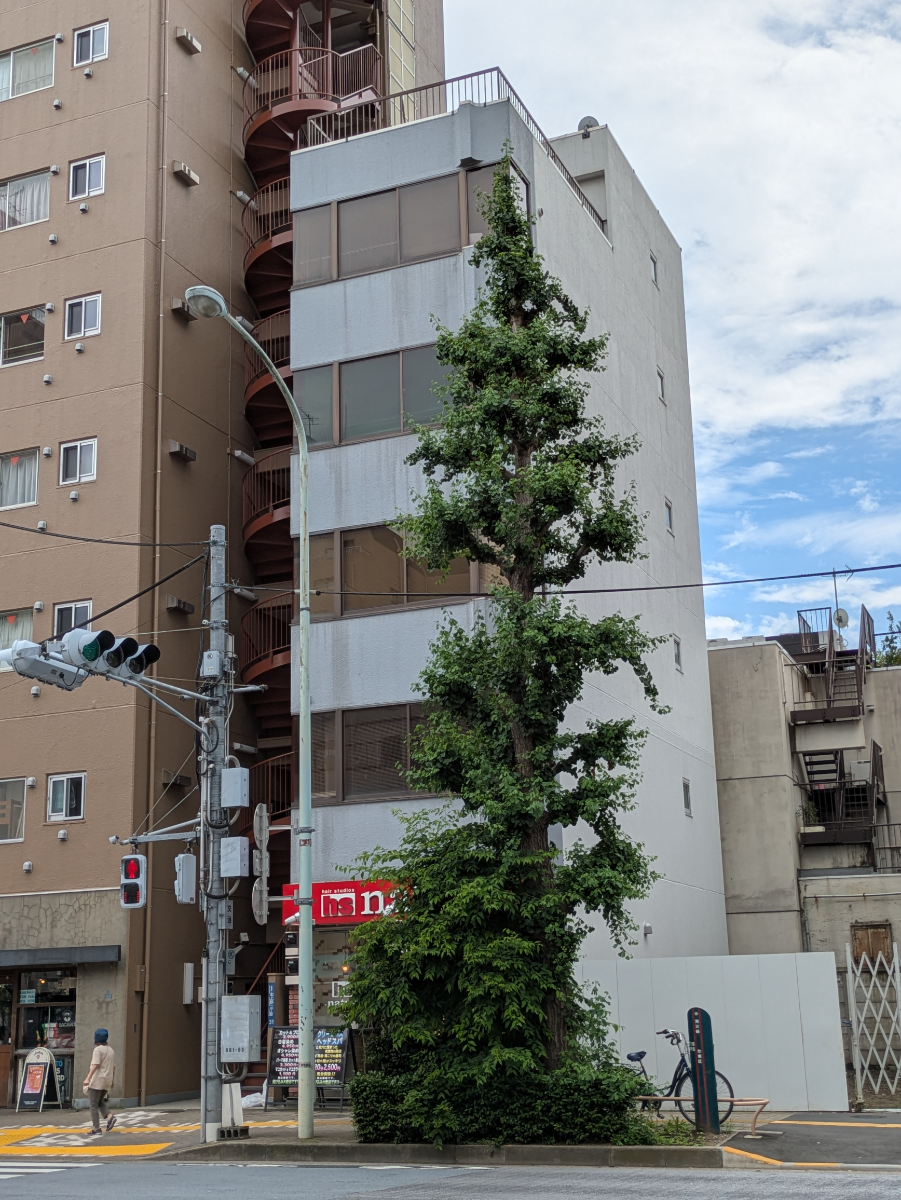 fresh/building/J00100403810_10