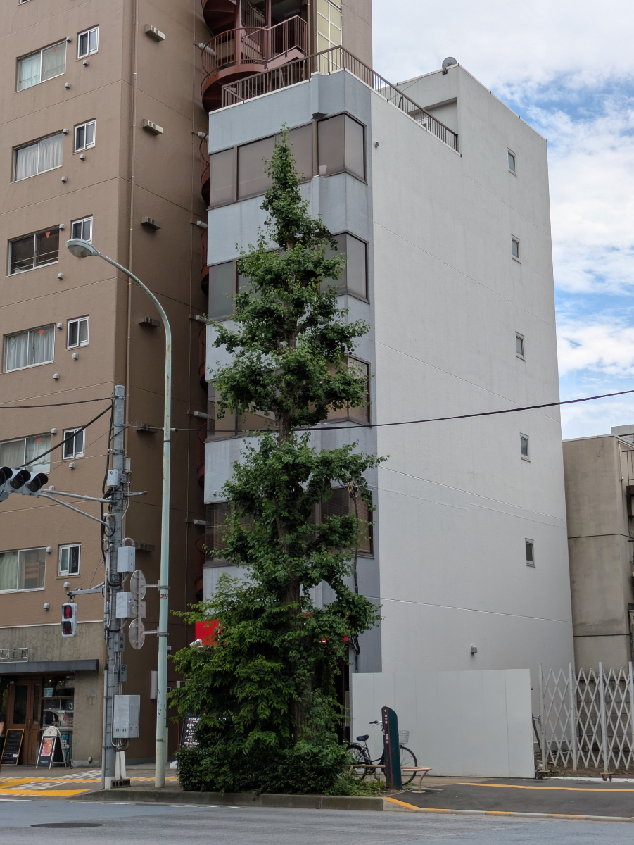 fresh/building/J00100403810_9