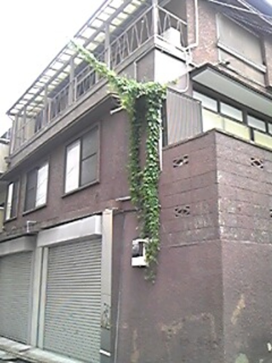 fresh/building/J00100403969_1