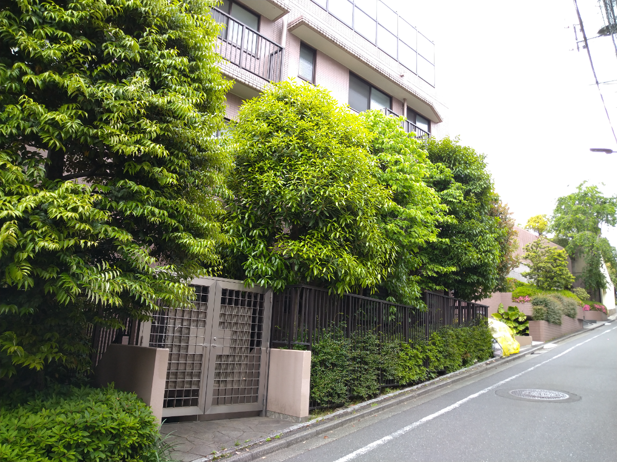 fresh/building/J00100404244_12