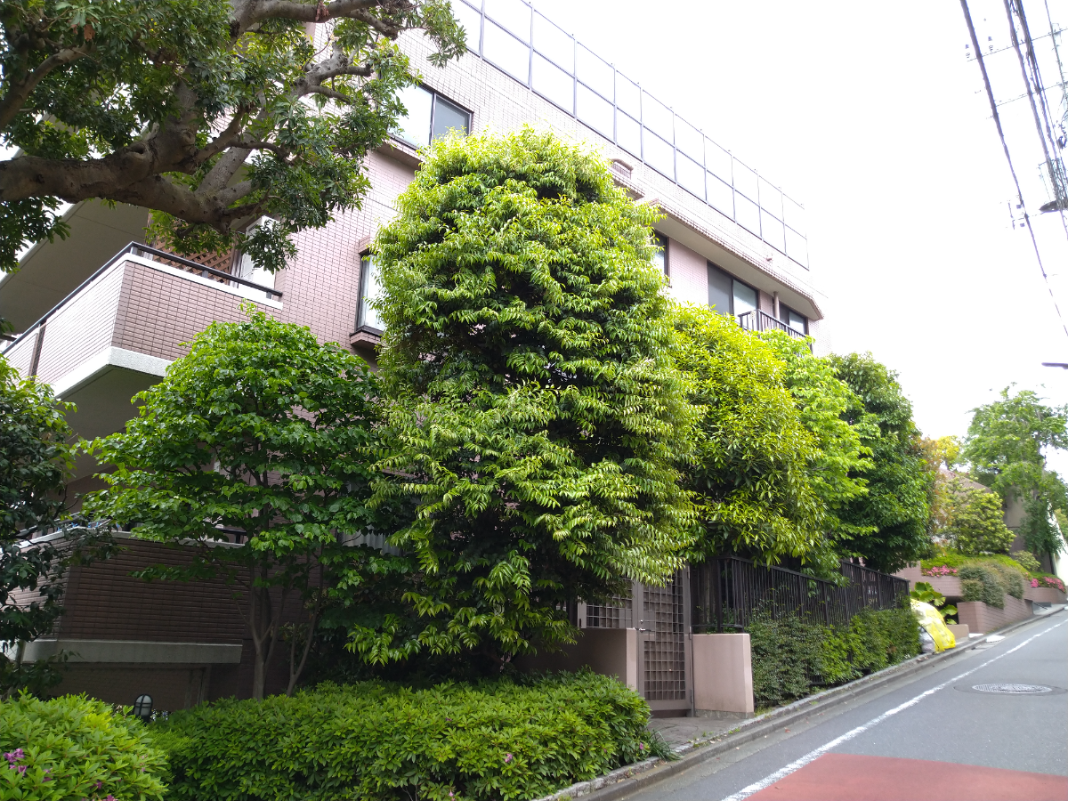 fresh/building/J00100404244_6