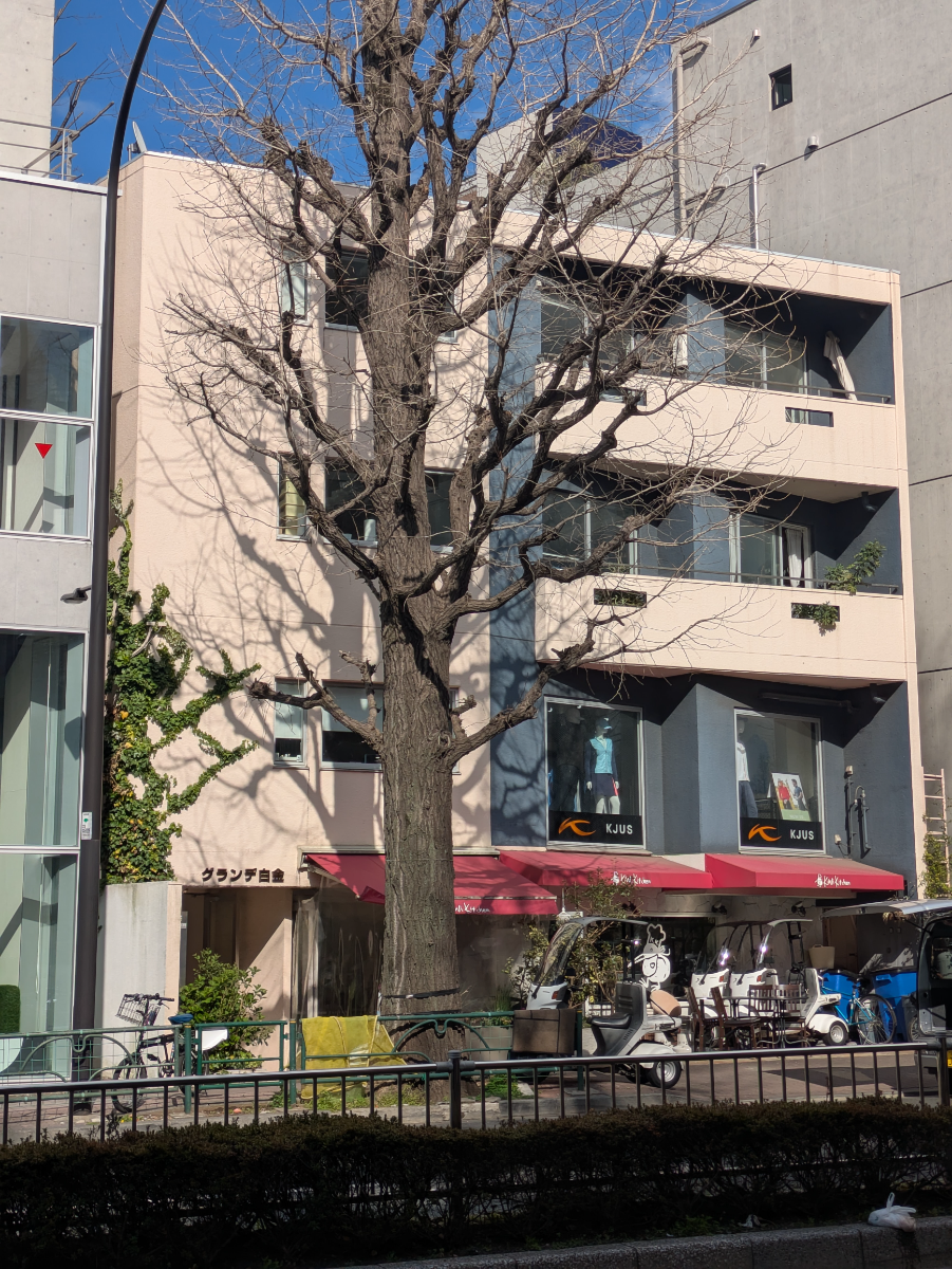 fresh/building/J00100404725_7