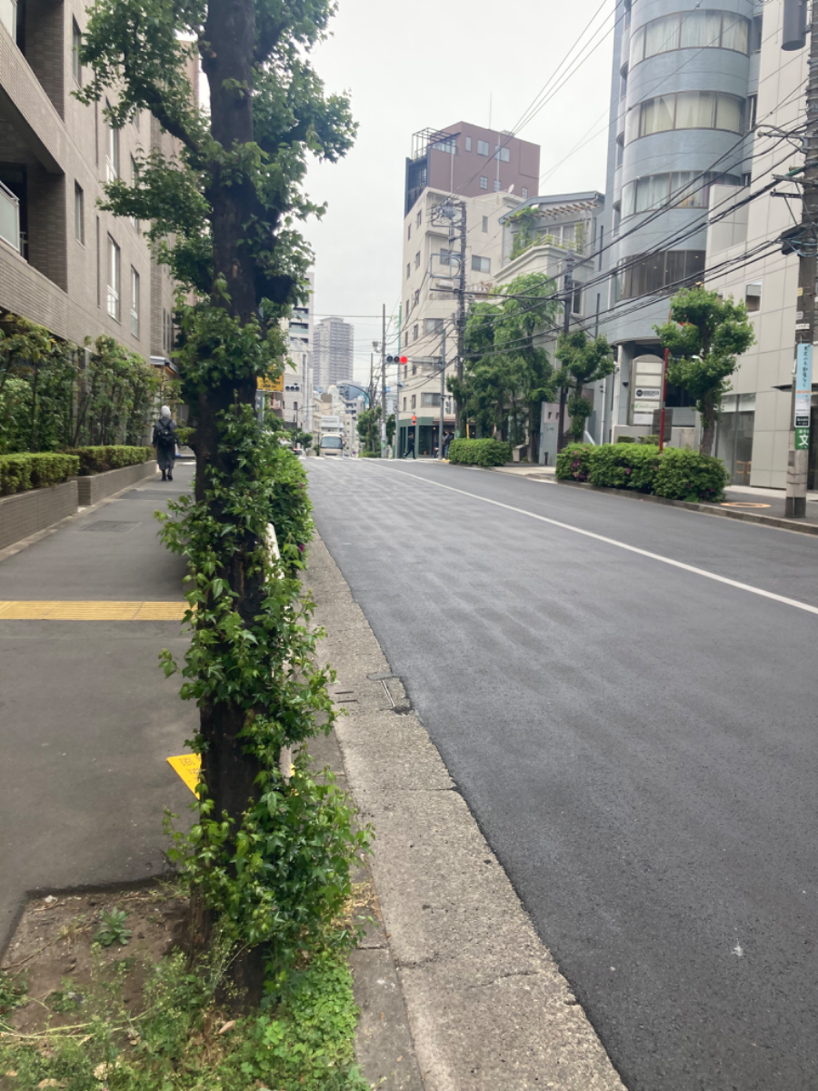 fresh/building/J00100404900_2