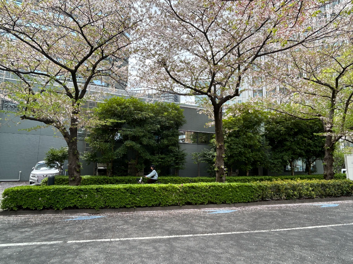fresh/building/J00100405651_13