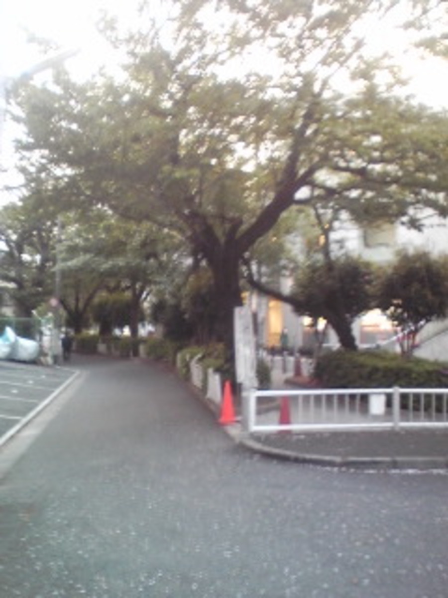 fresh/building/J00100406040_2