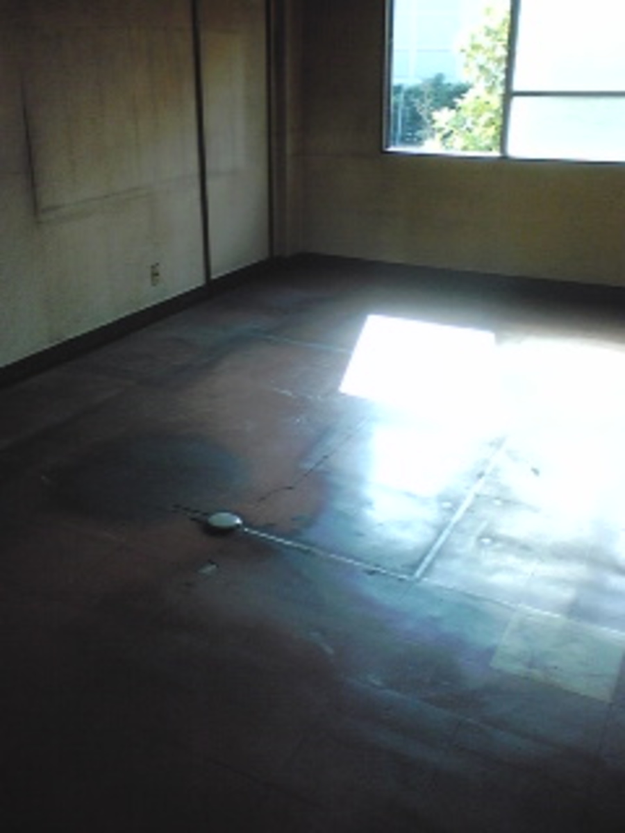 fresh/building/J00100406634_5