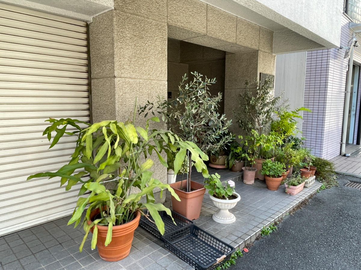 fresh/building/J00100407524_10