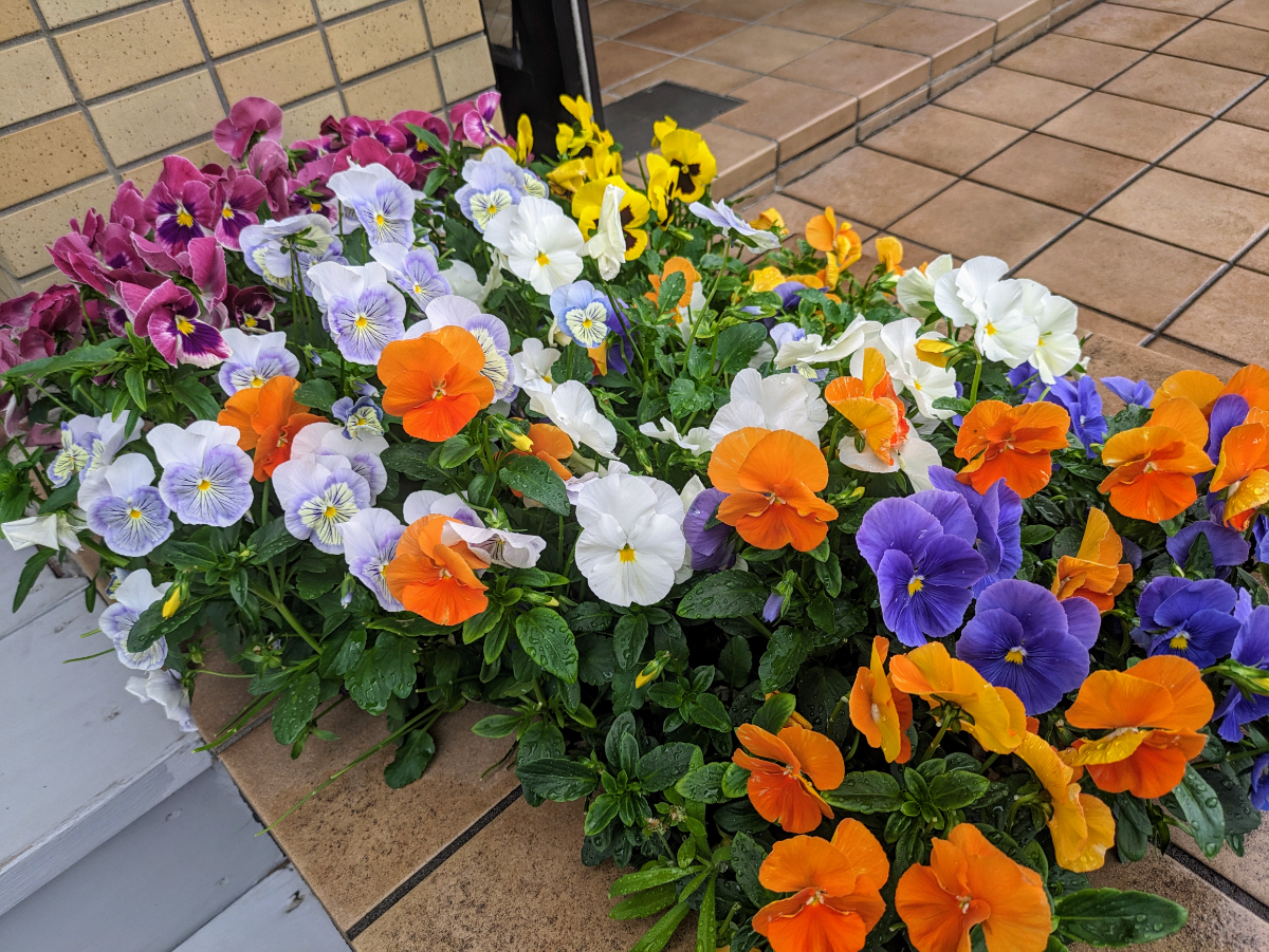 fresh/building/J00100407587_8