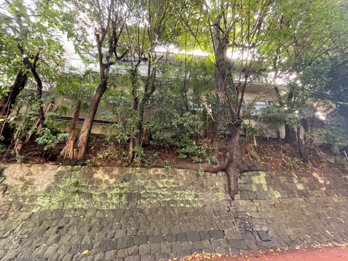 fresh/building/J00100407898_10