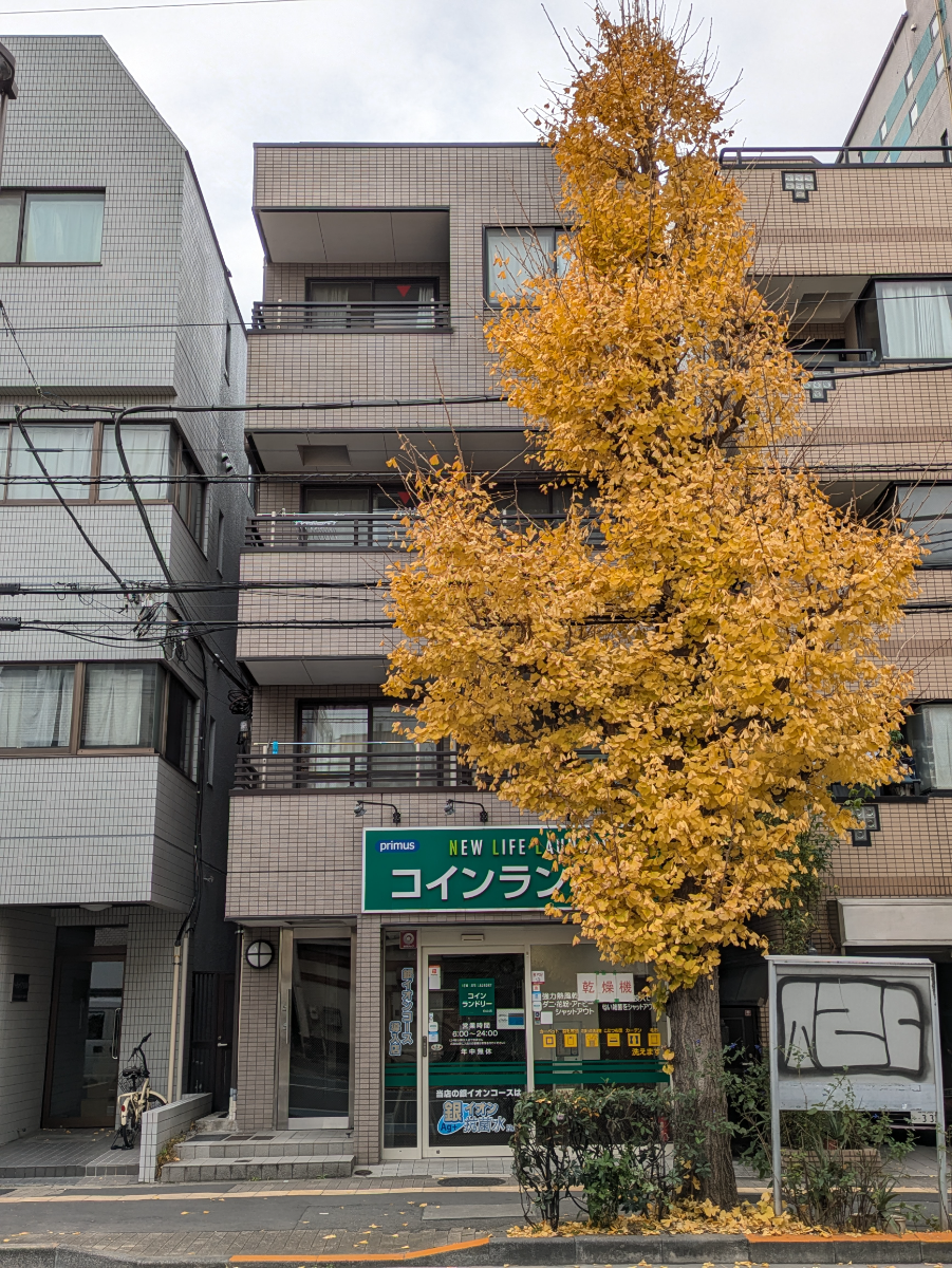 fresh/building/J00100408001_1