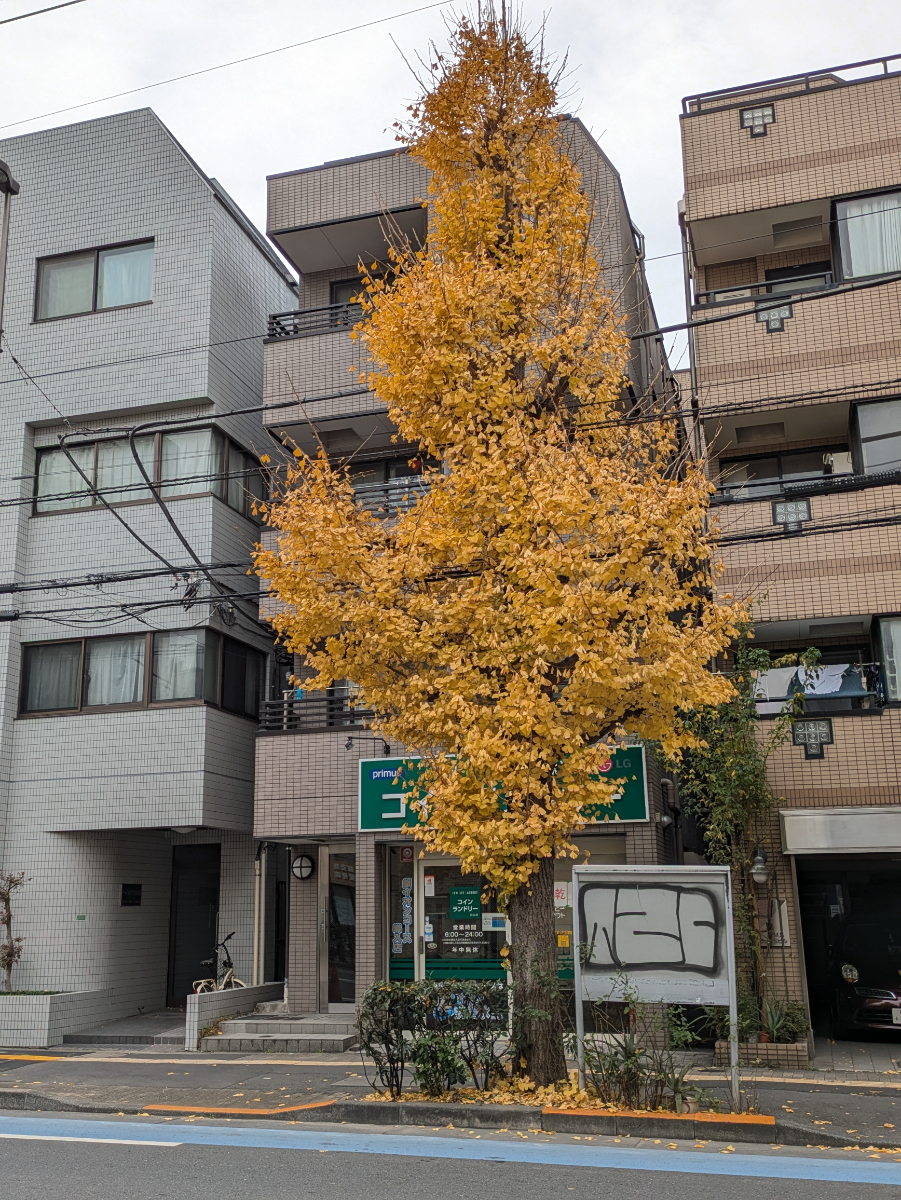 fresh/building/J00100408001_5
