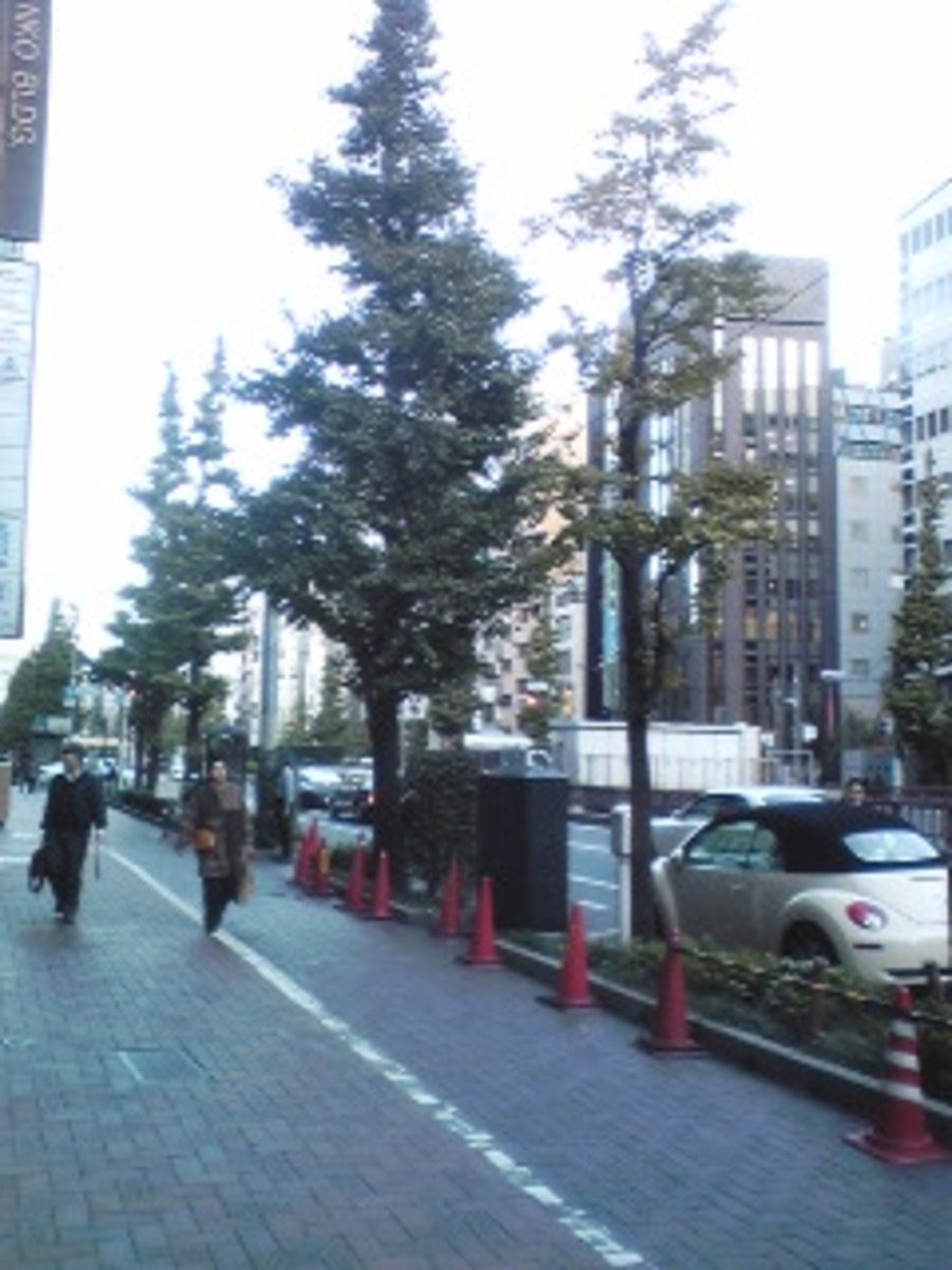 fresh/building/J00100408748_2