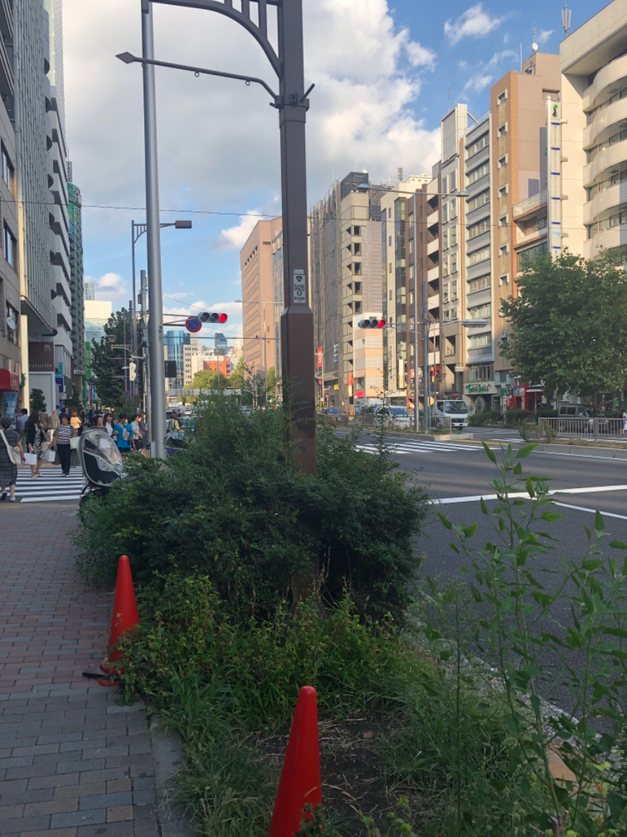 fresh/building/J00100408782_2