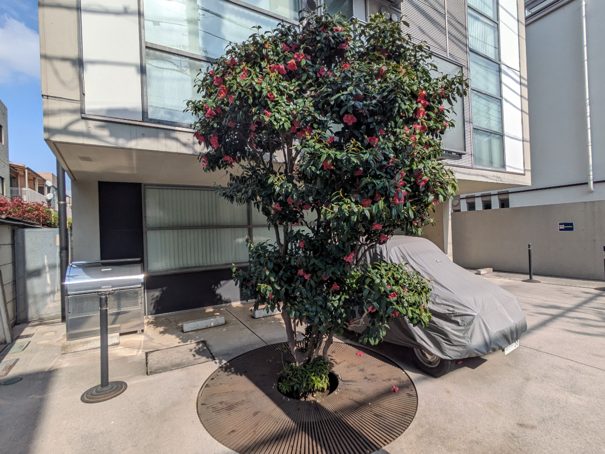 fresh/building/J00100409054_9