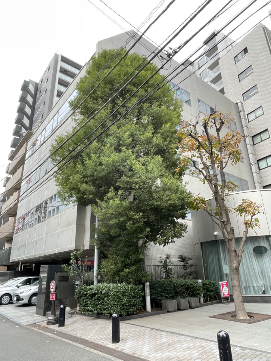 fresh/building/J00100409243_9