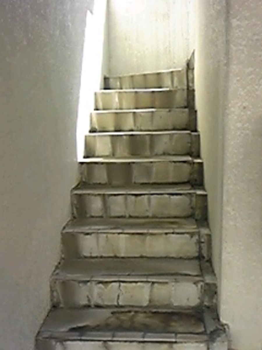fresh/building/J00100409609_4