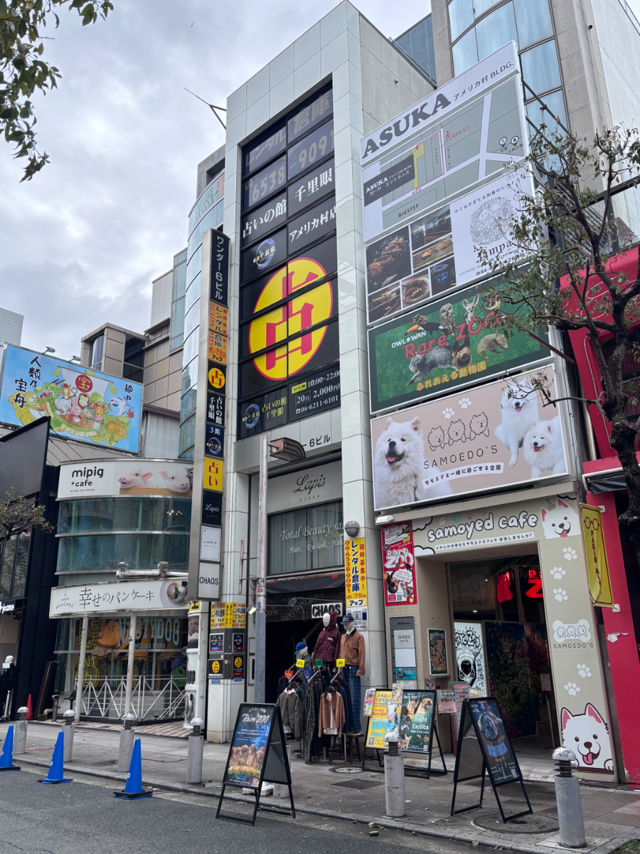 fresh/building/J00100409804_6