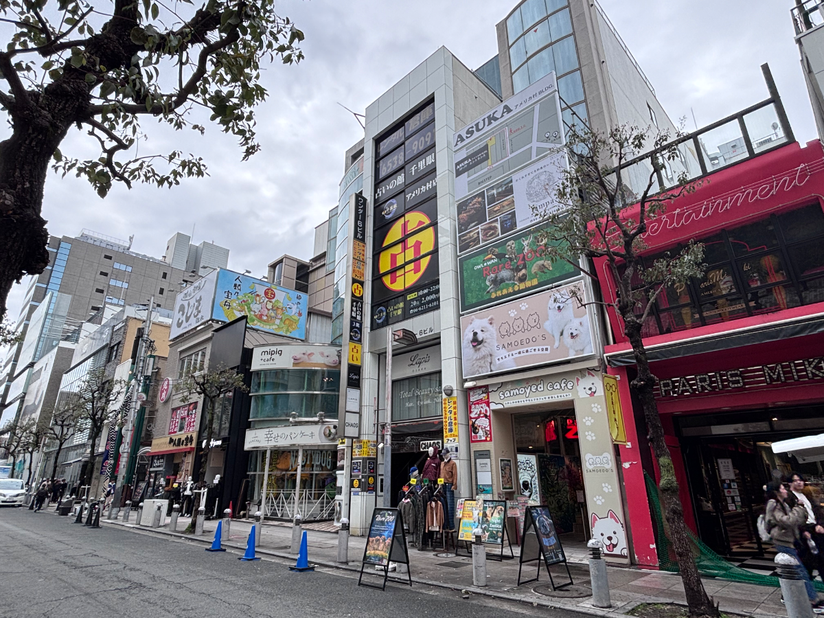fresh/building/J00100409804_7