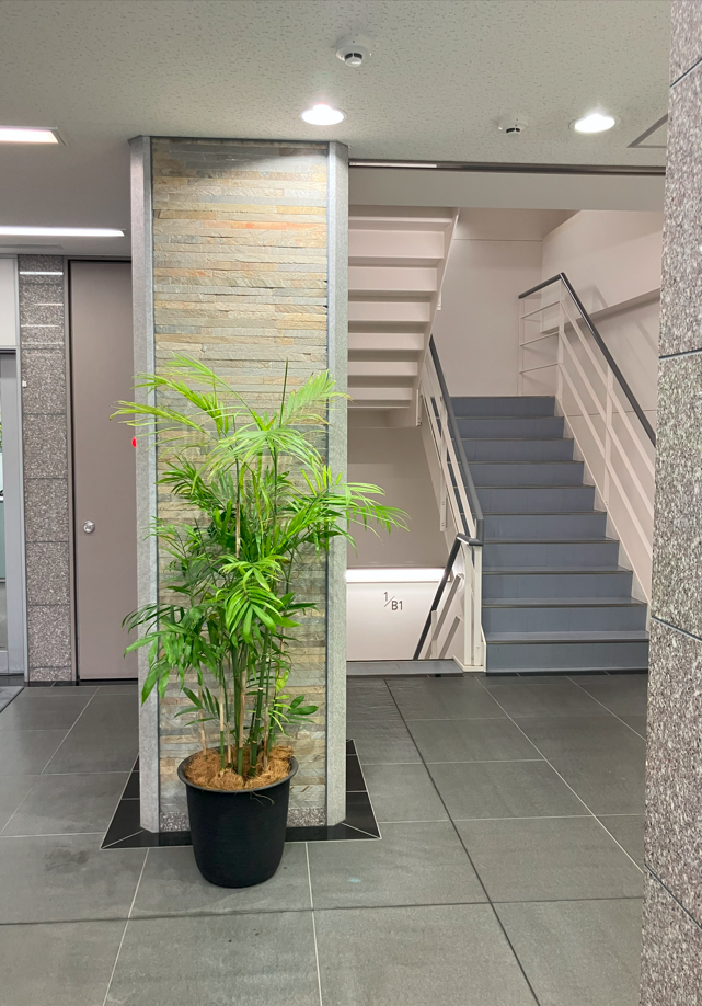 fresh/building/J00100409808_4