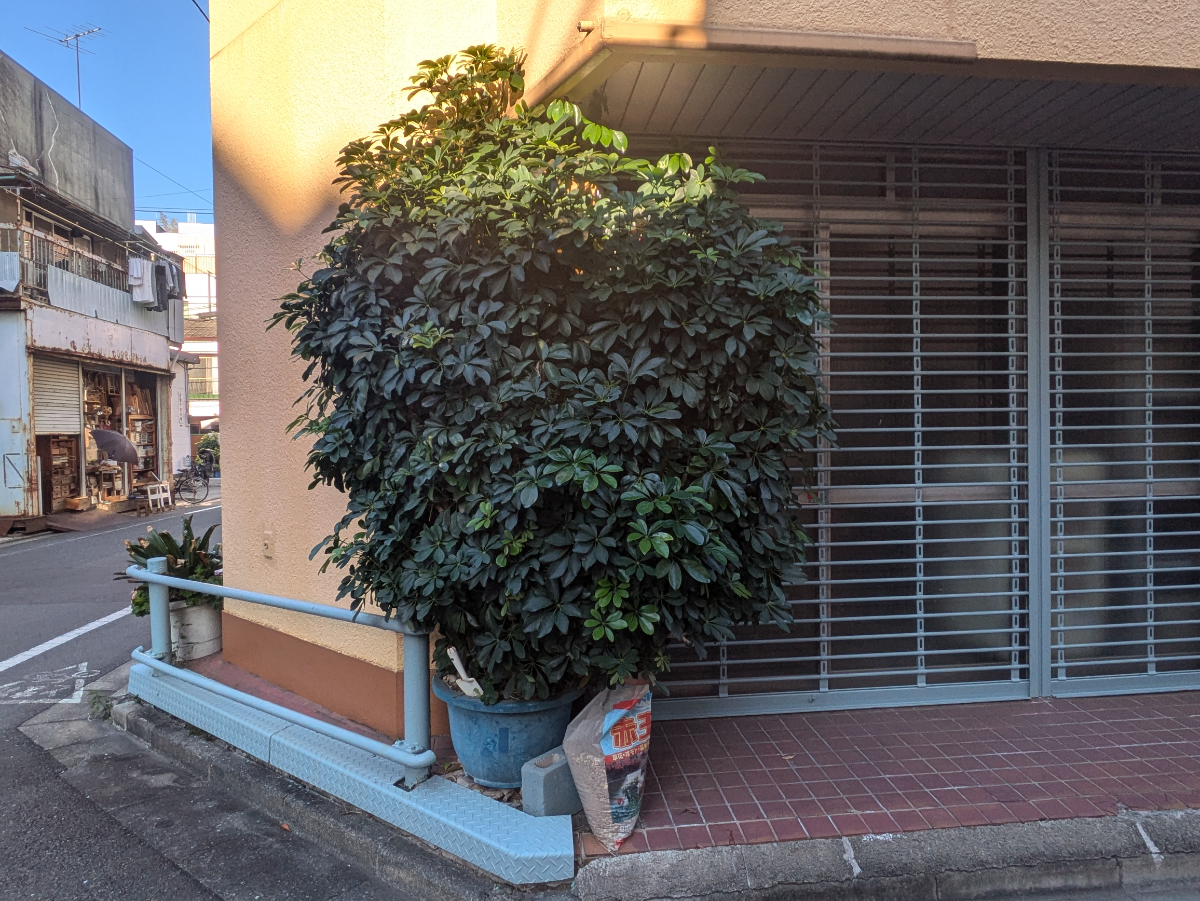 fresh/building/J00100411113_11