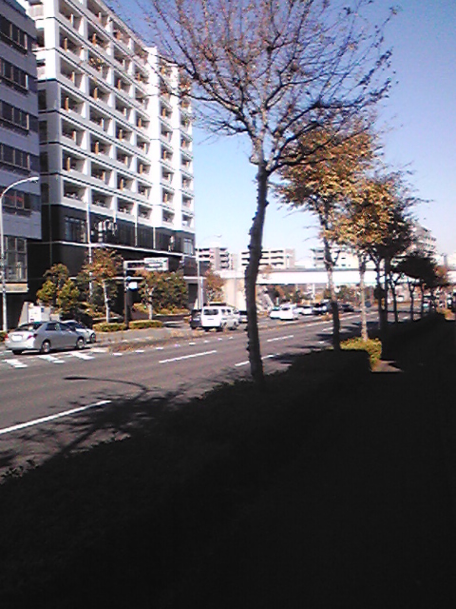 fresh/building/J00100411115_2