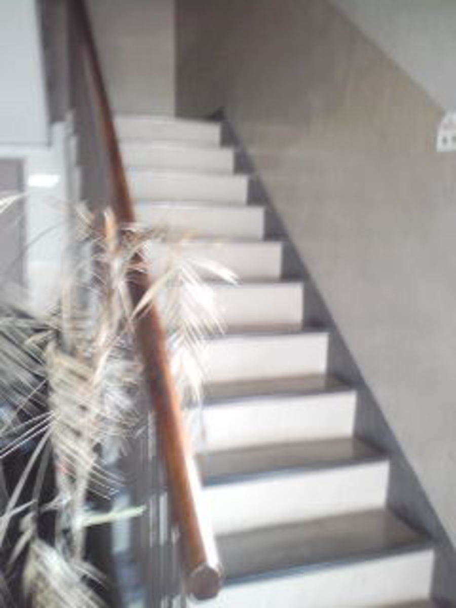 fresh/building/J00100411809_4