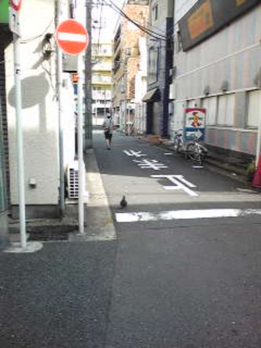 fresh/building/J00100411868_2