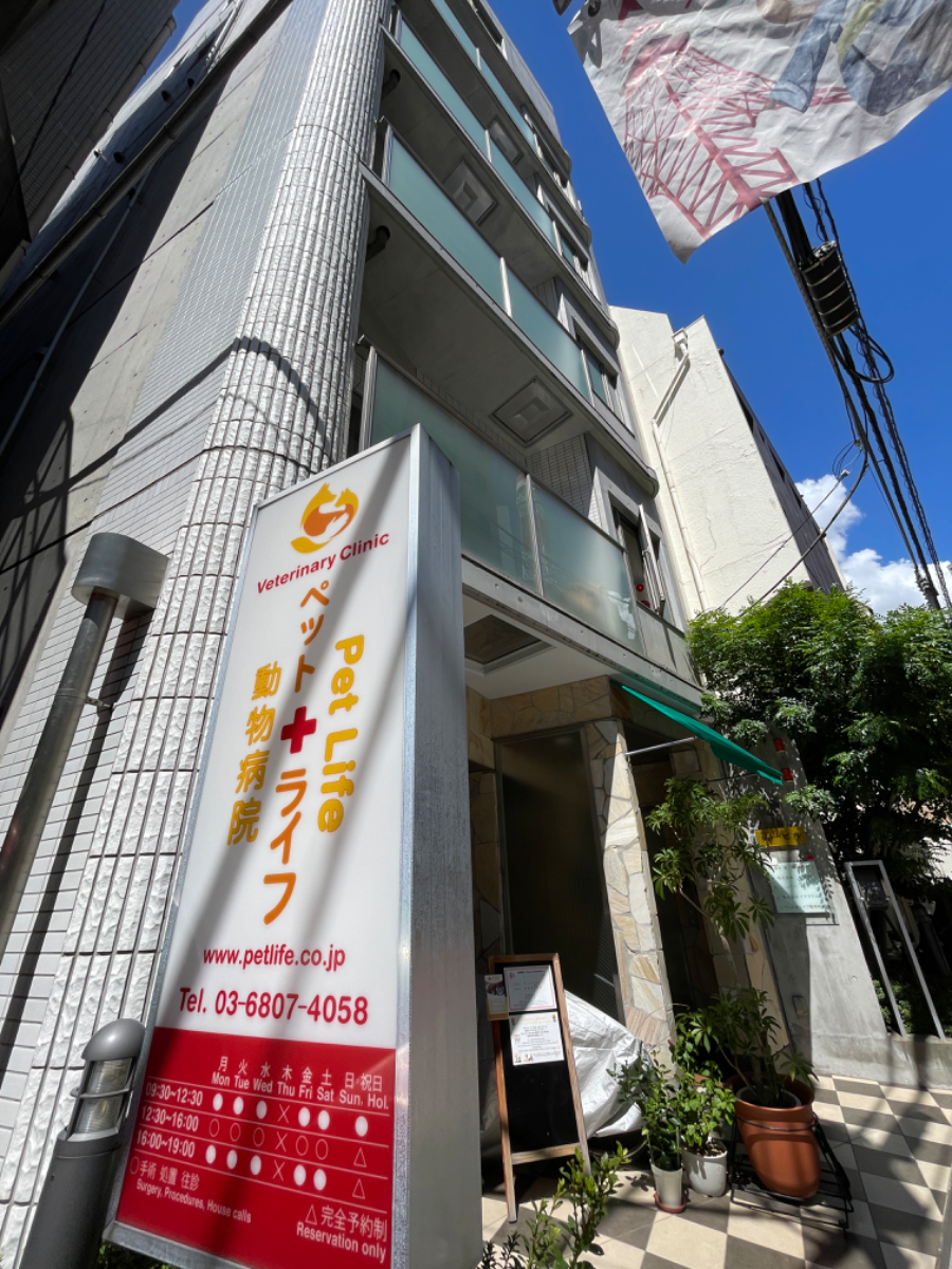 fresh/building/J00100412593_12