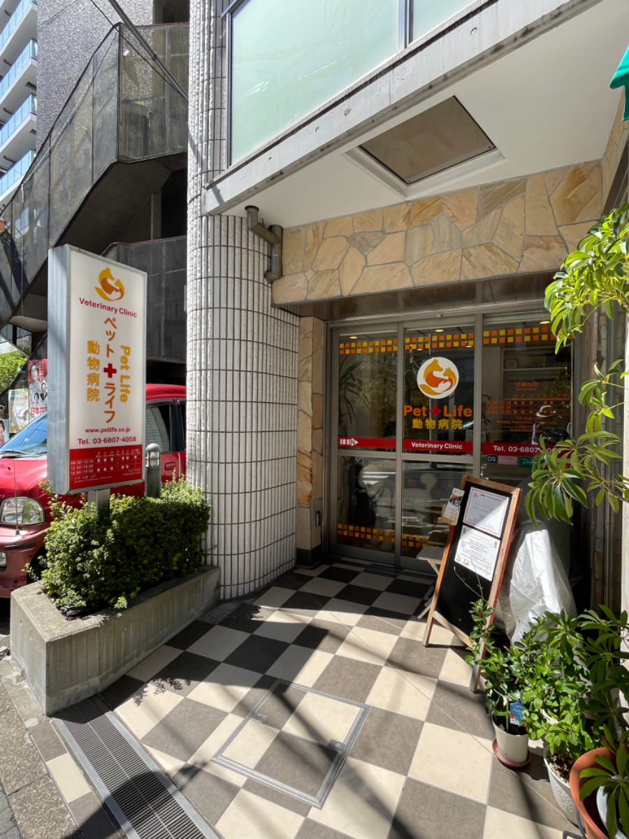 fresh/building/J00100412593_13