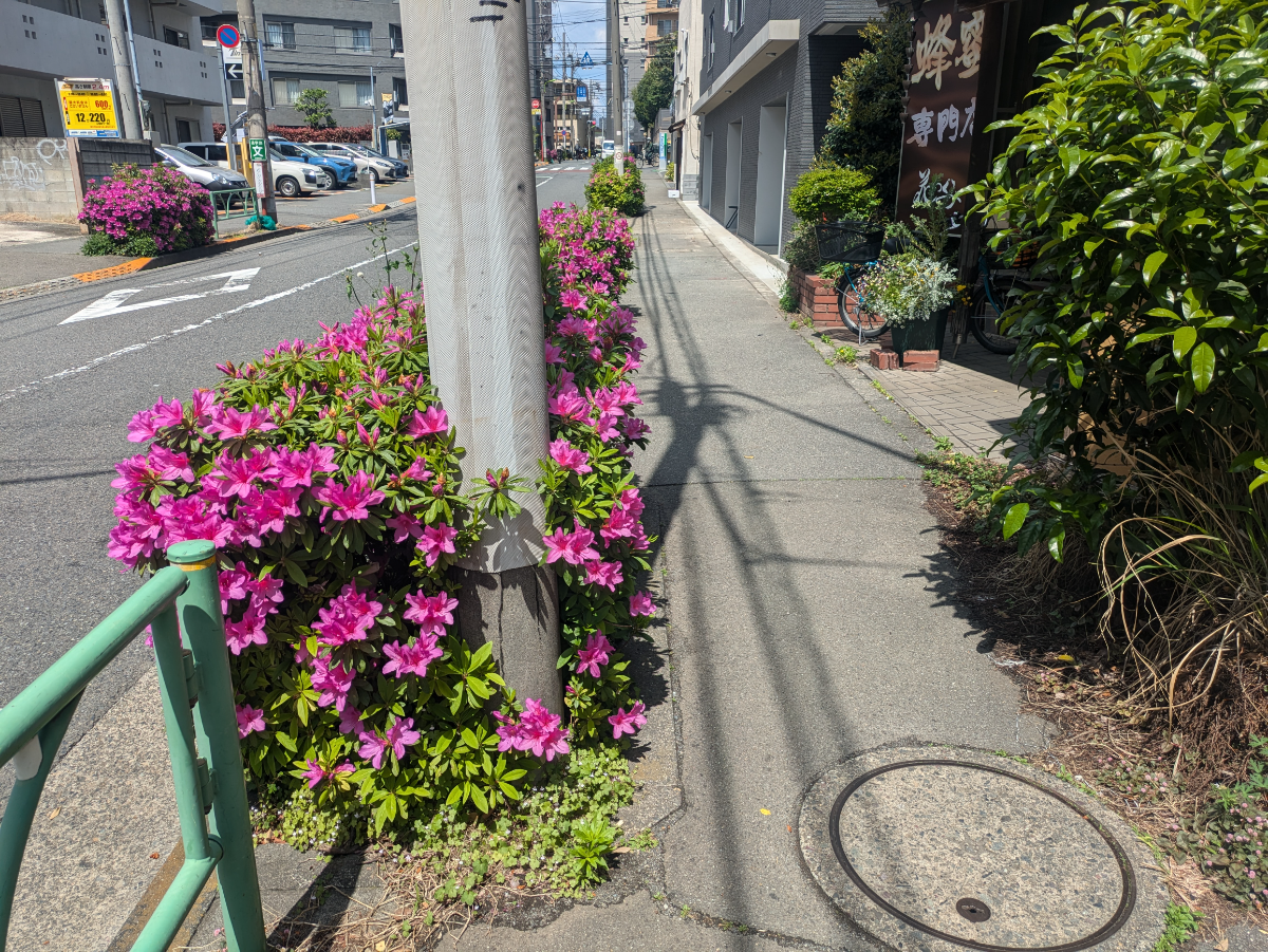 fresh/building/J00100412636_15